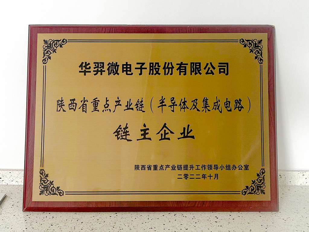 龙八头号微电被认定为“陕西省重点产业链链主企业”