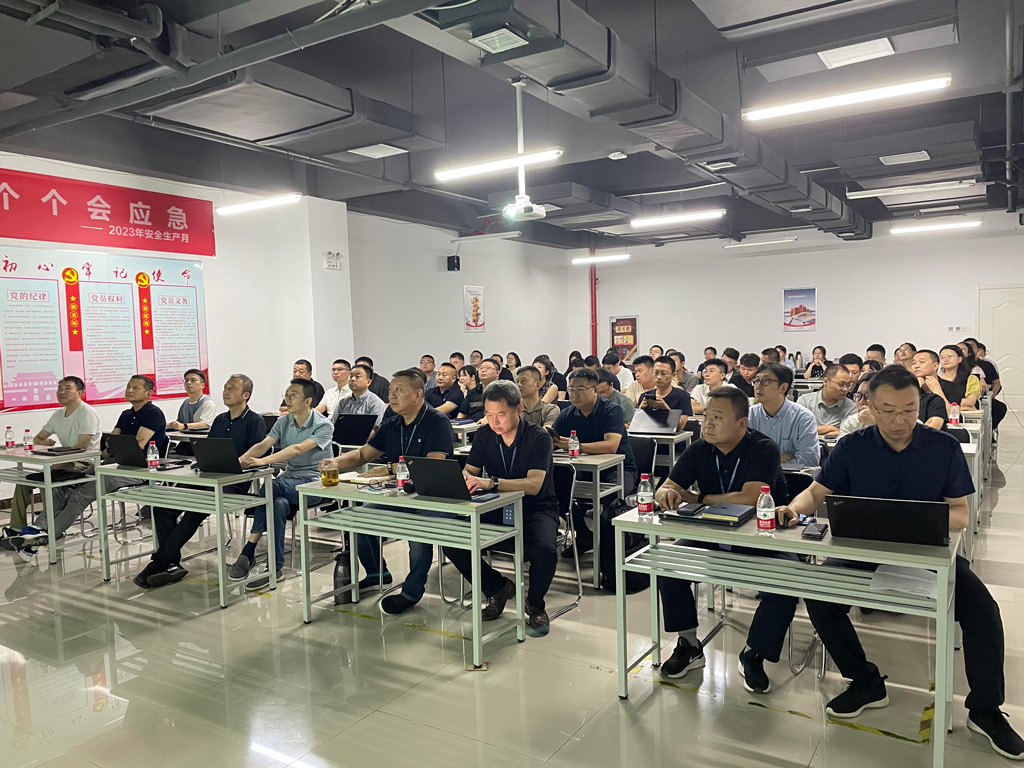 龙八头号微电召开2024年上半年销售会议